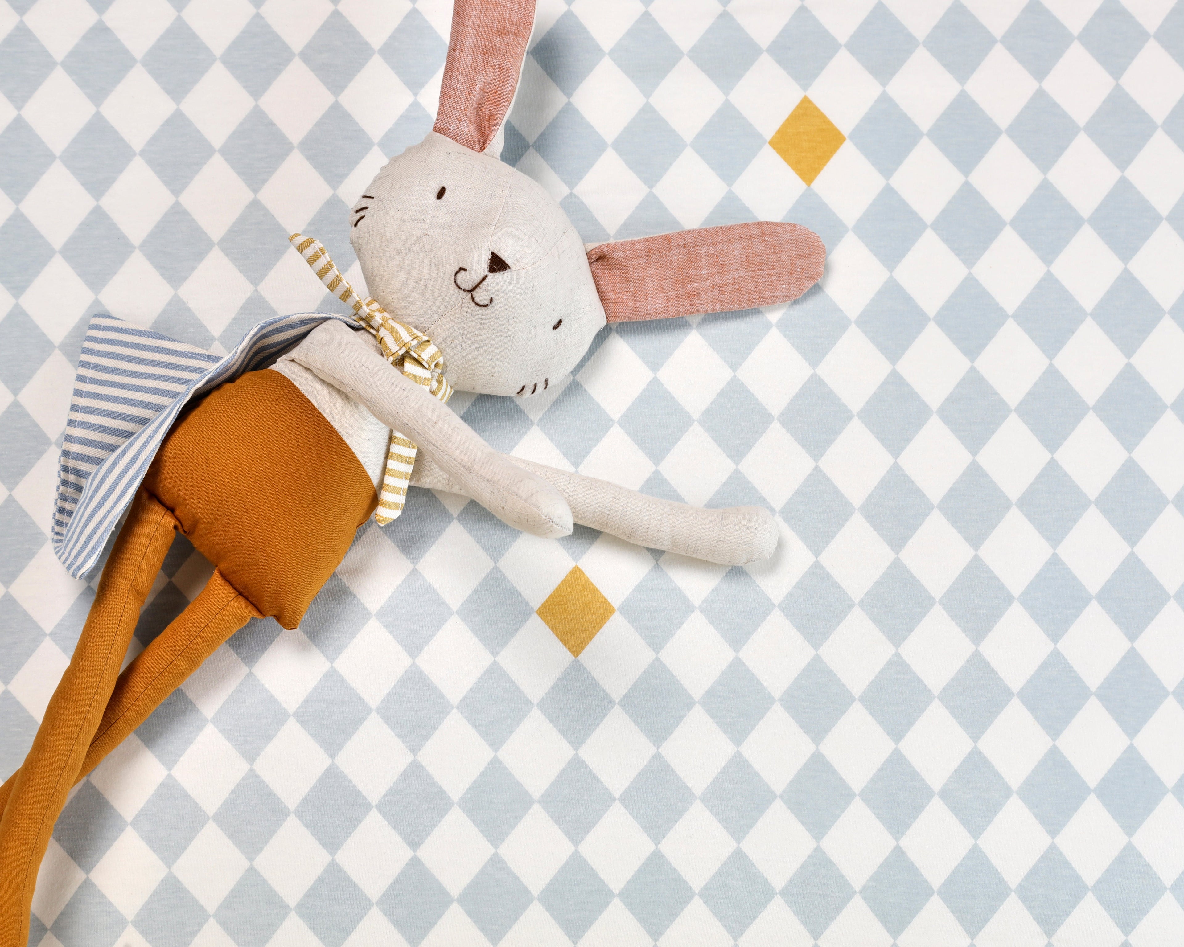 Robbie the Rabbit