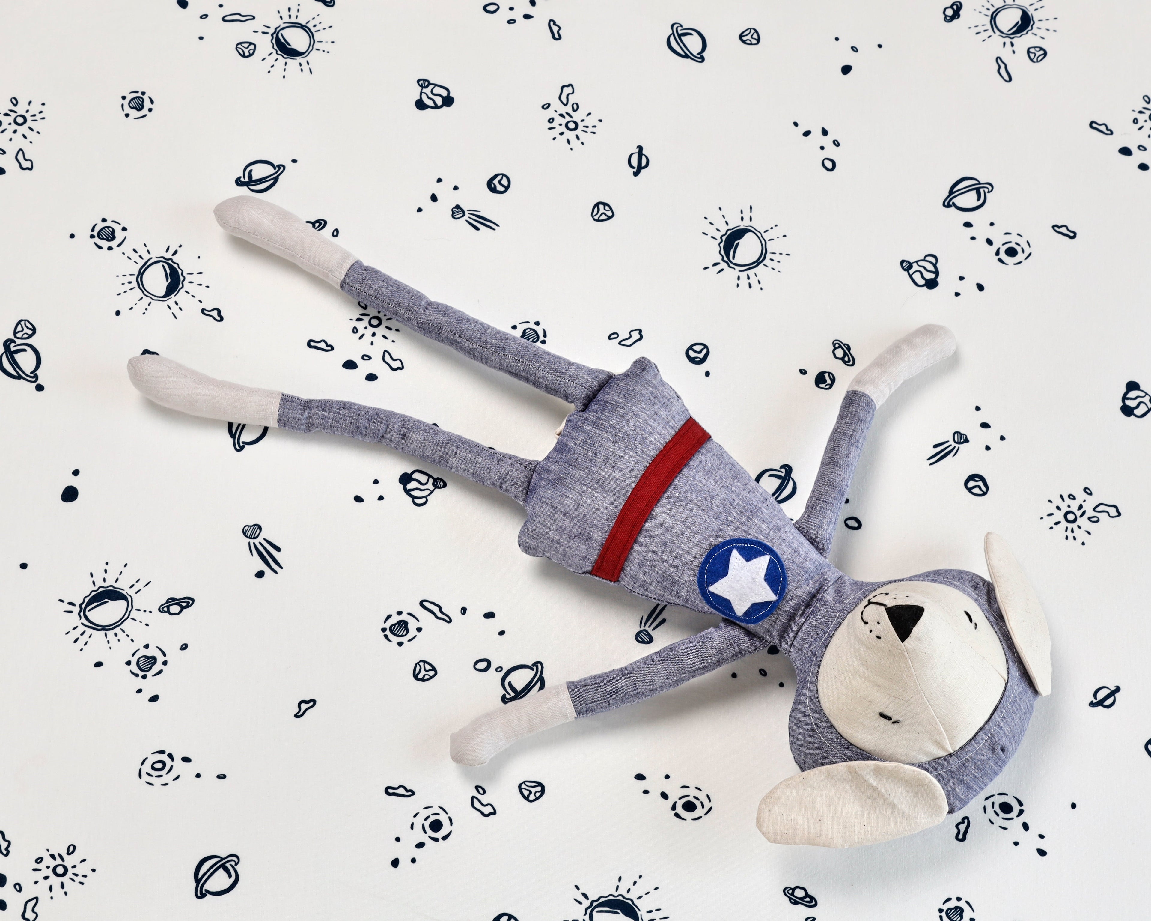Stella the Astronaut