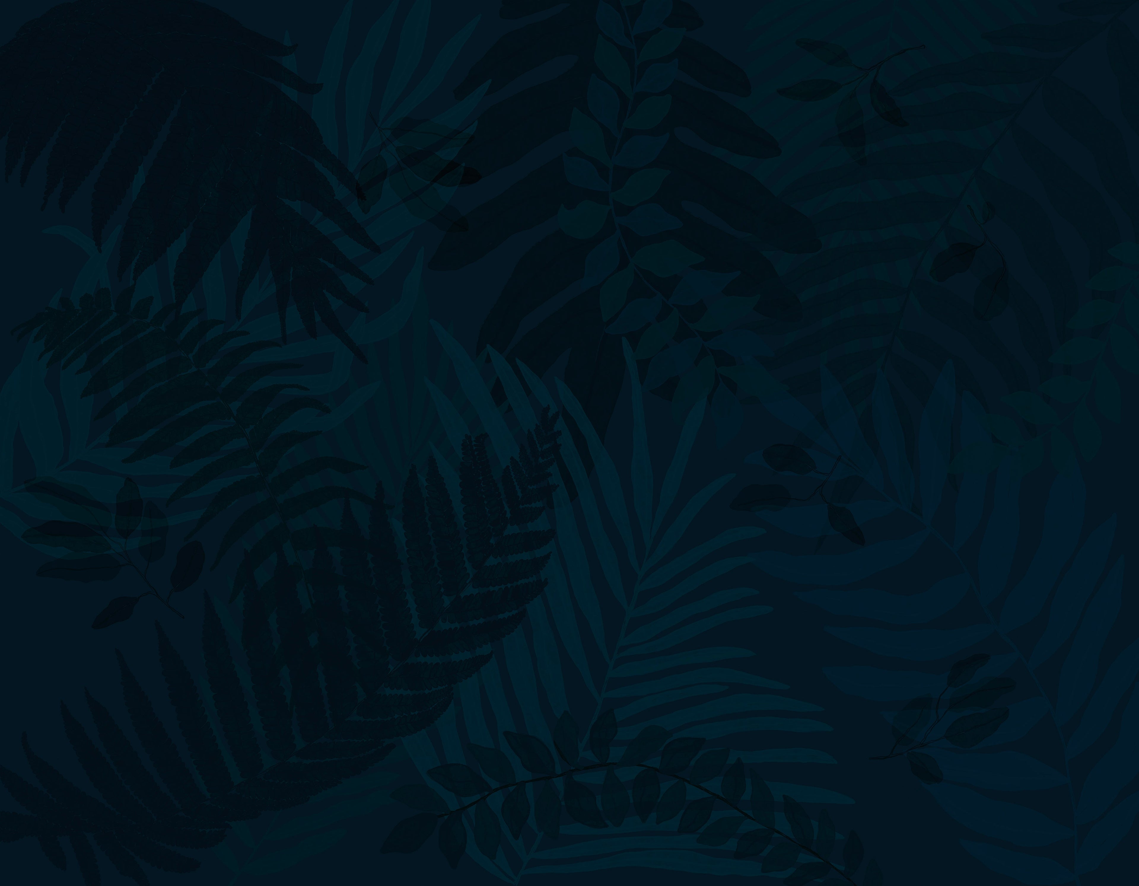 Canopy Wall Mural