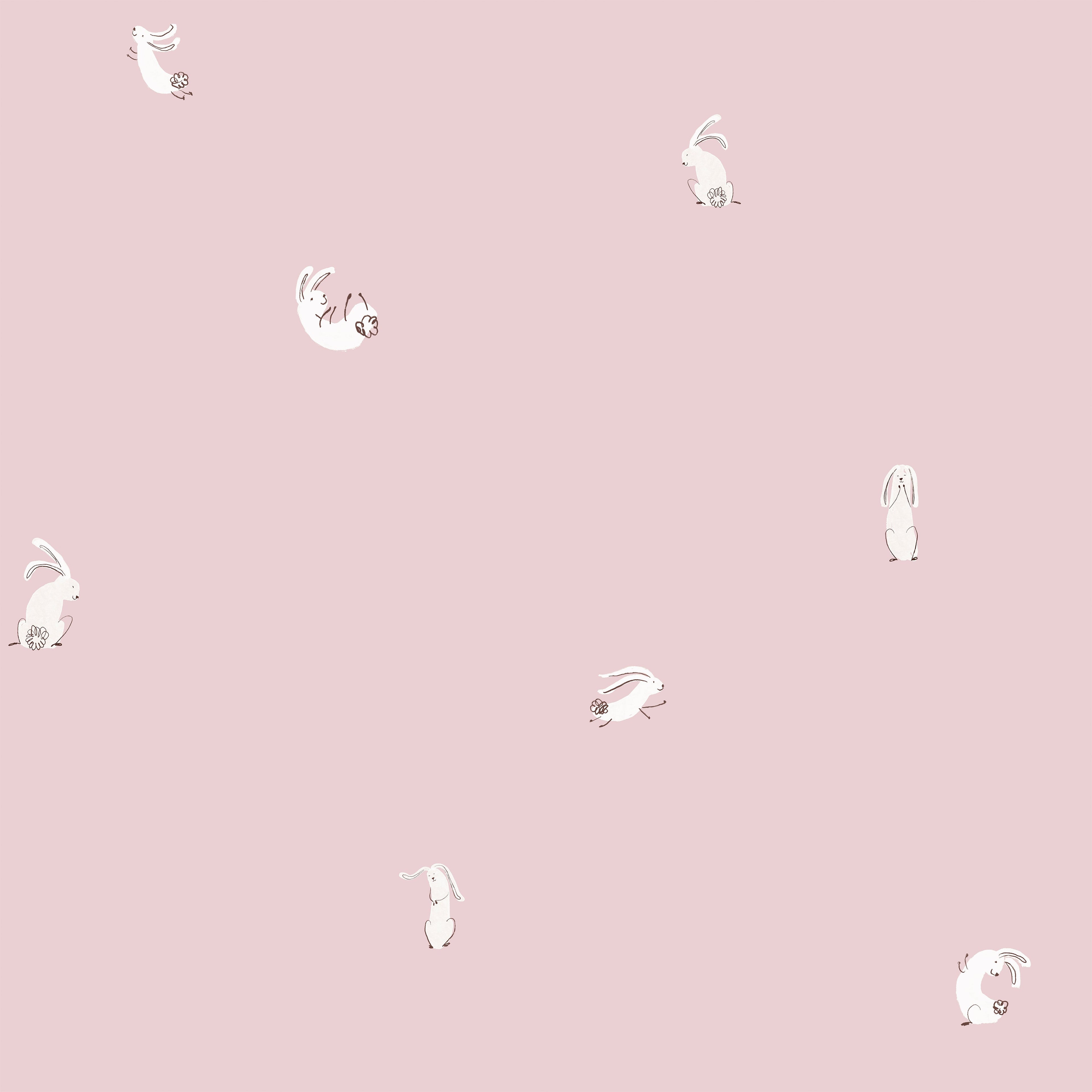 Bouncing Bunny Wallpaper