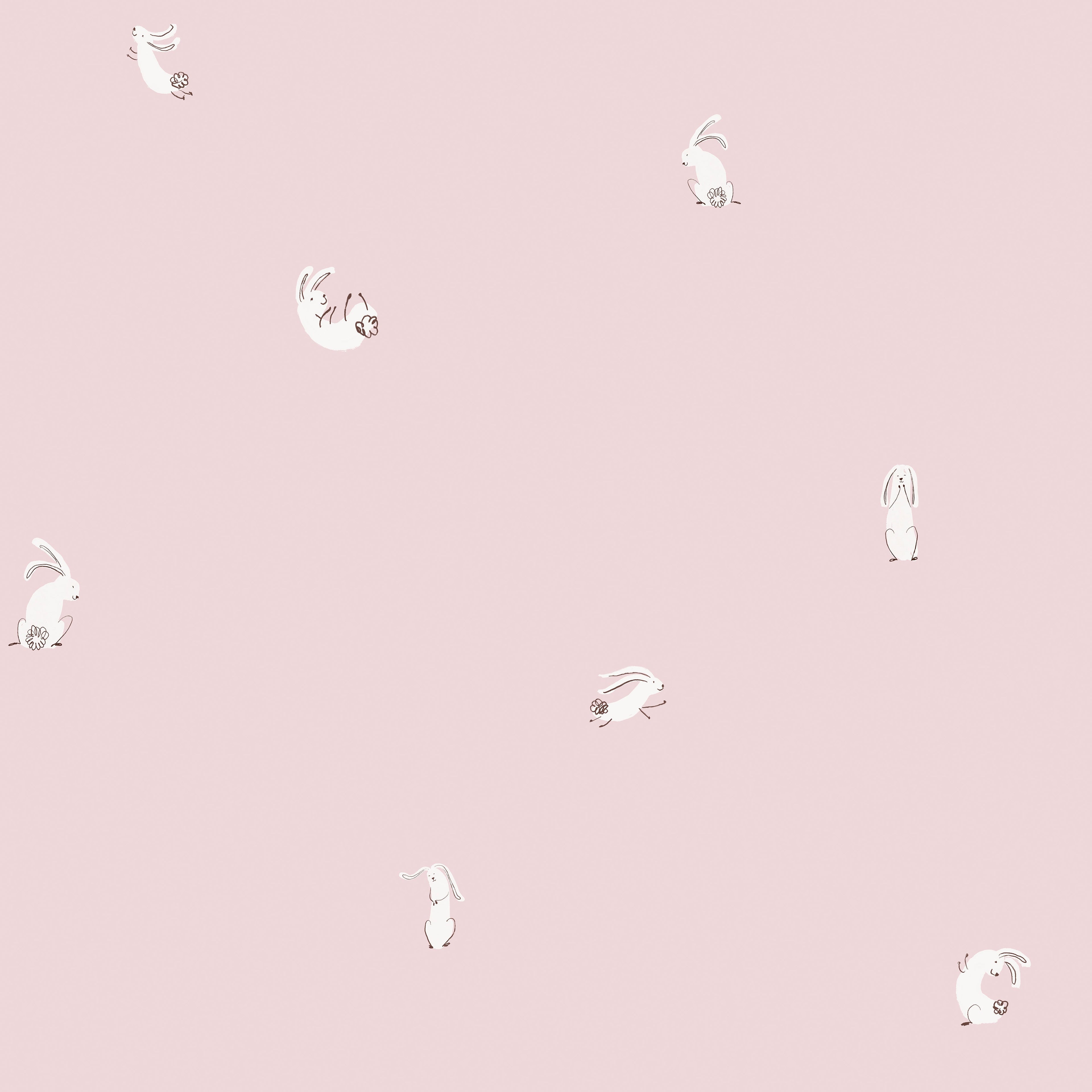 Bouncing Bunny Wallpaper Sample