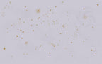 Star Sign Wall Mural