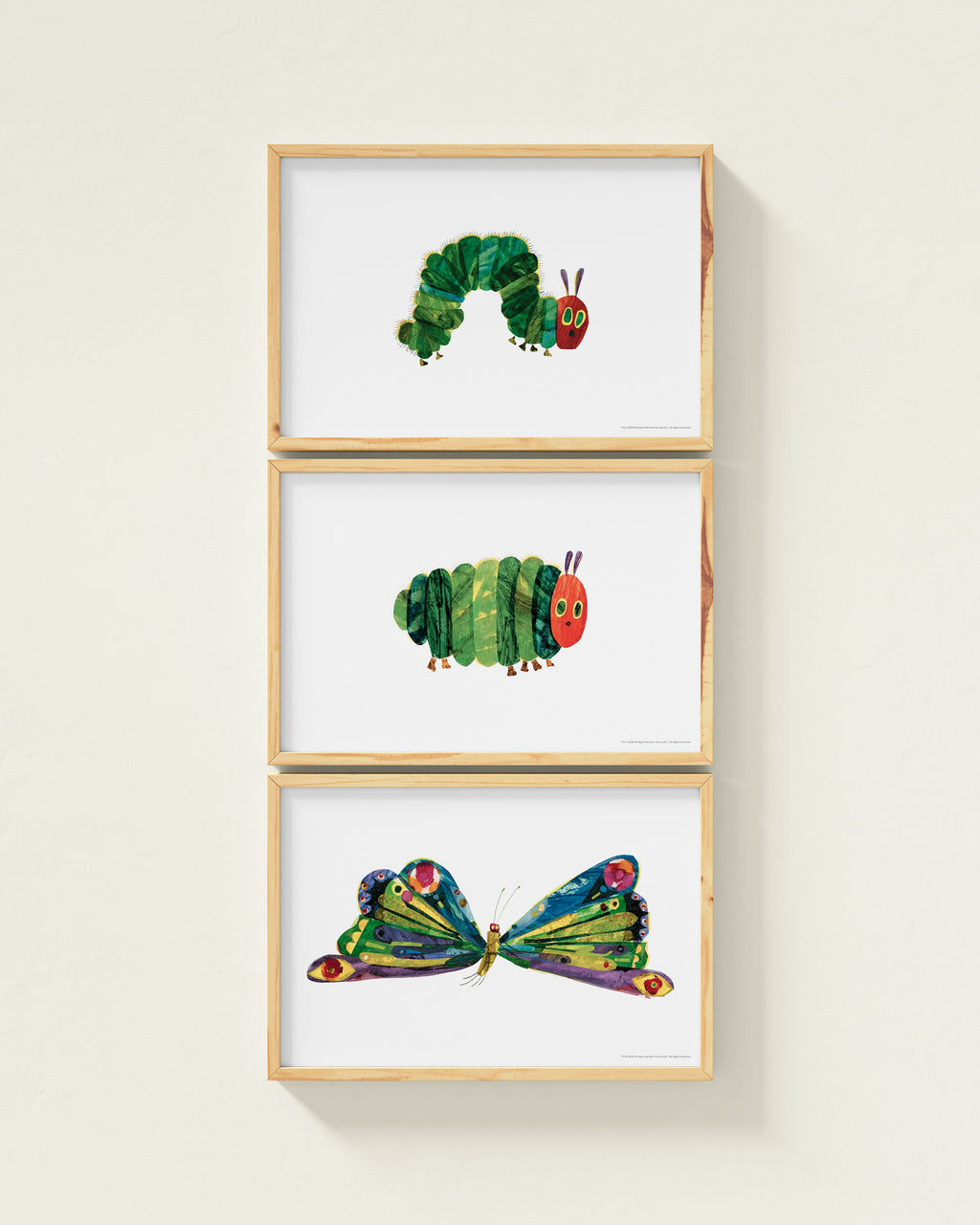 A Beautiful Butterfly! Framed Wall Art Set | Eric Carle x Nestig