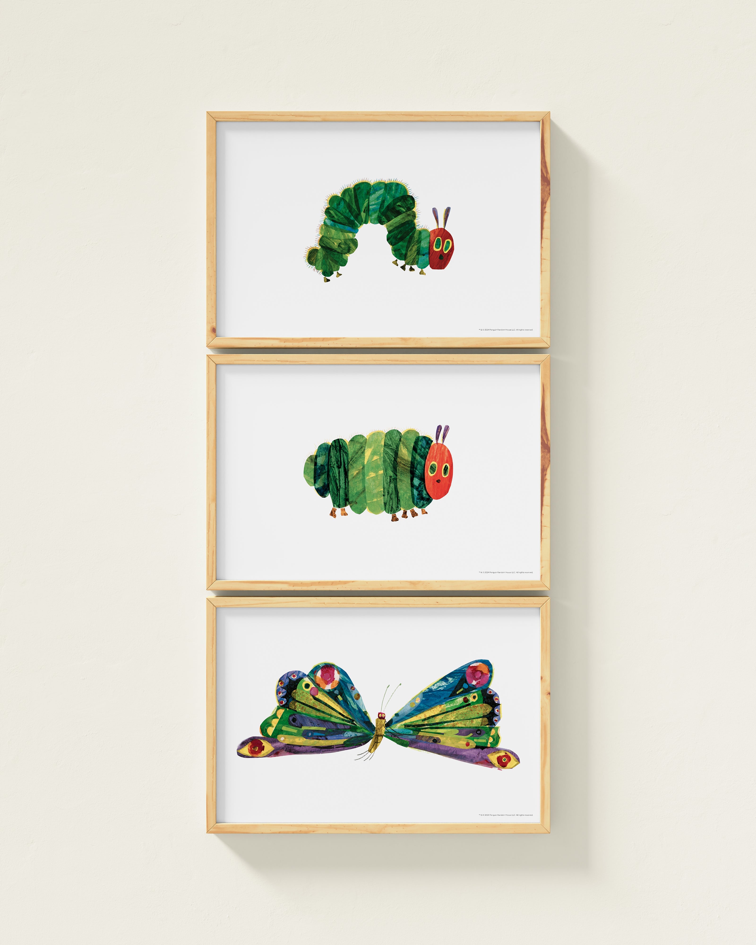 A Beautiful Butterfly! Framed Wall Art Set | Eric Carle x Nestig