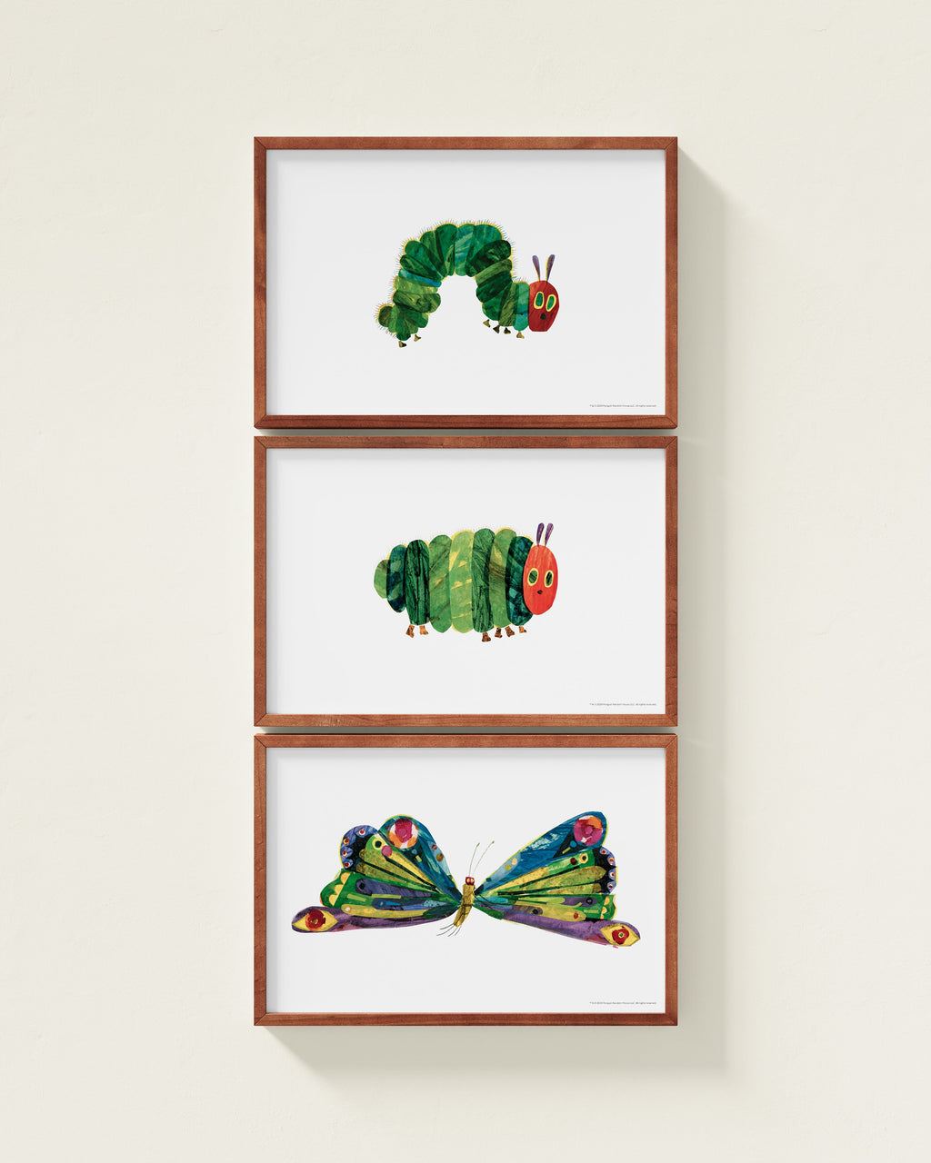 A Beautiful Butterfly! Framed Wall Art Set | Eric Carle x Nestig