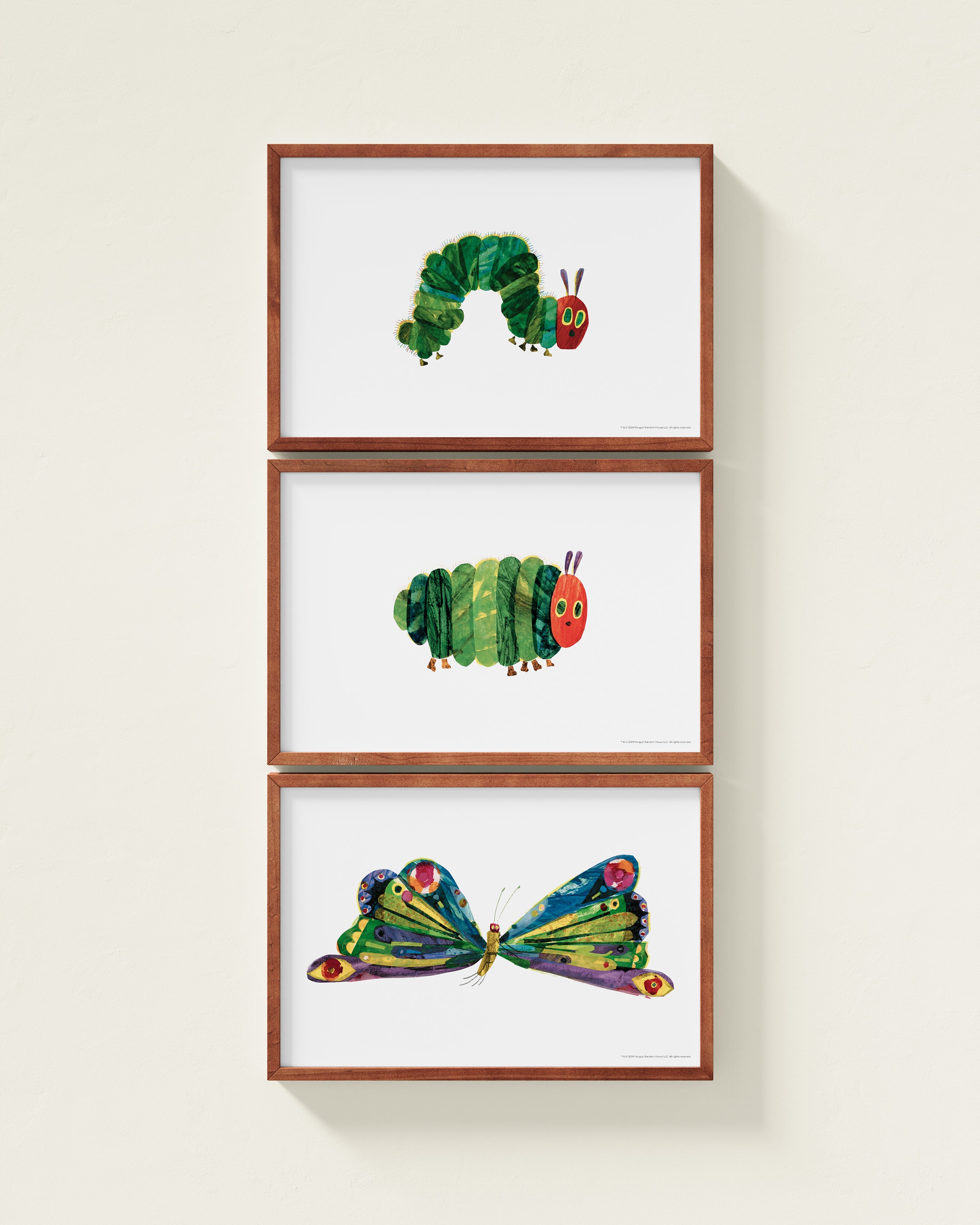 A Beautiful Butterfly! Framed Wall Art Set | Eric Carle x Nestig