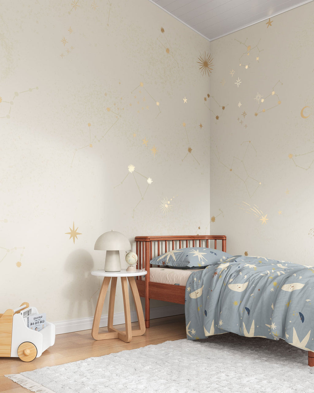 Star Sign Wall Mural