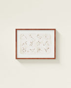 Zodiac Framed Wall Art
