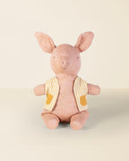 Finn the Pig