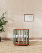 The Cloud Crib
