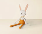 Robbie the Rabbit
