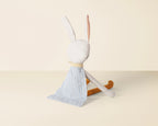 Robbie the Rabbit