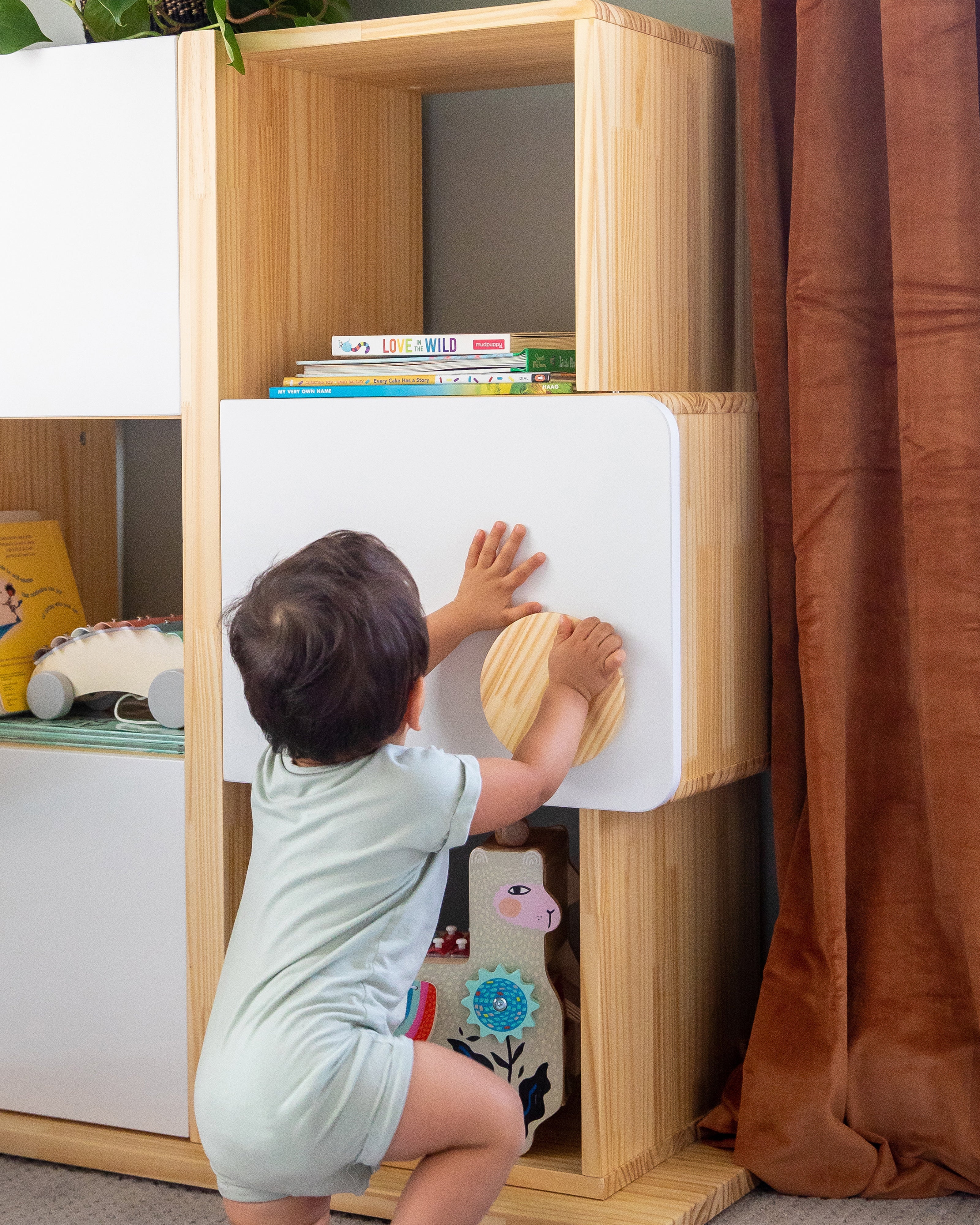 Hide and Seek Shelf