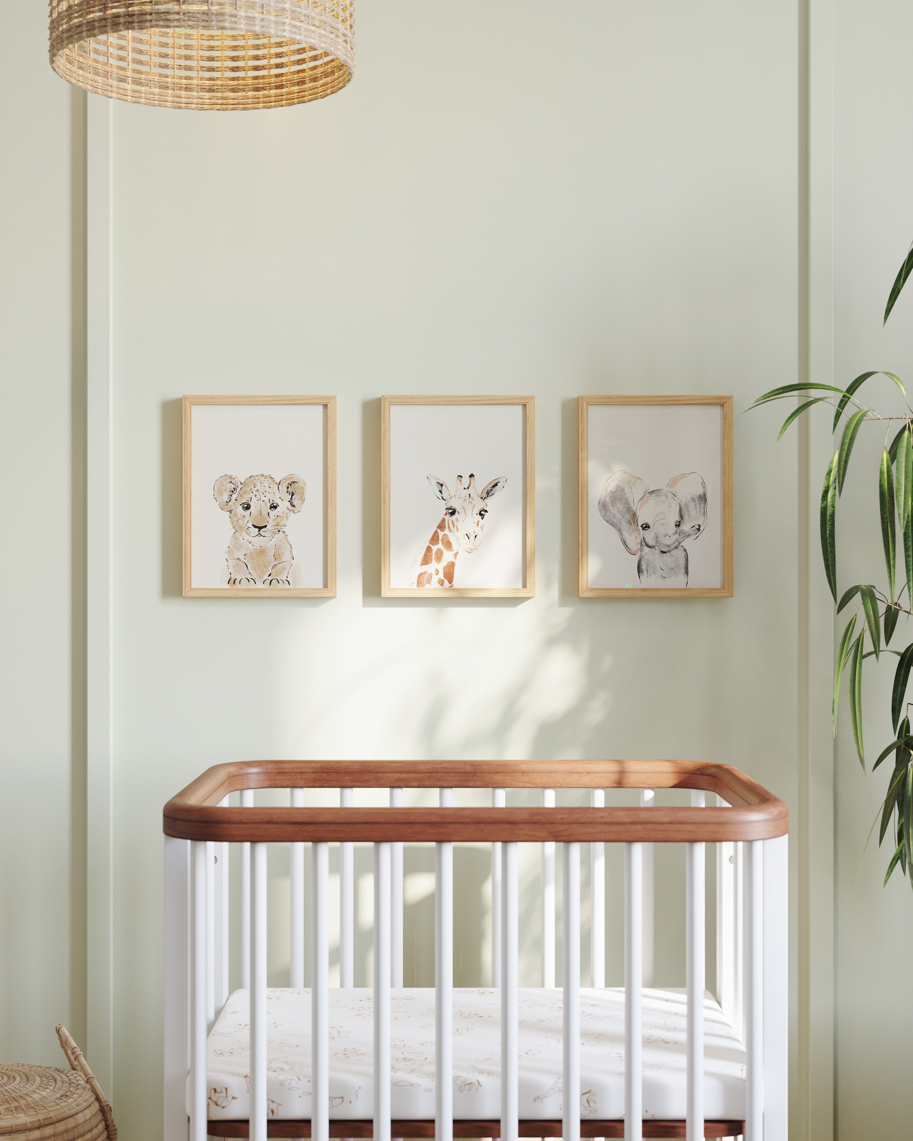 Safari Animals Framed Wall Art Set
