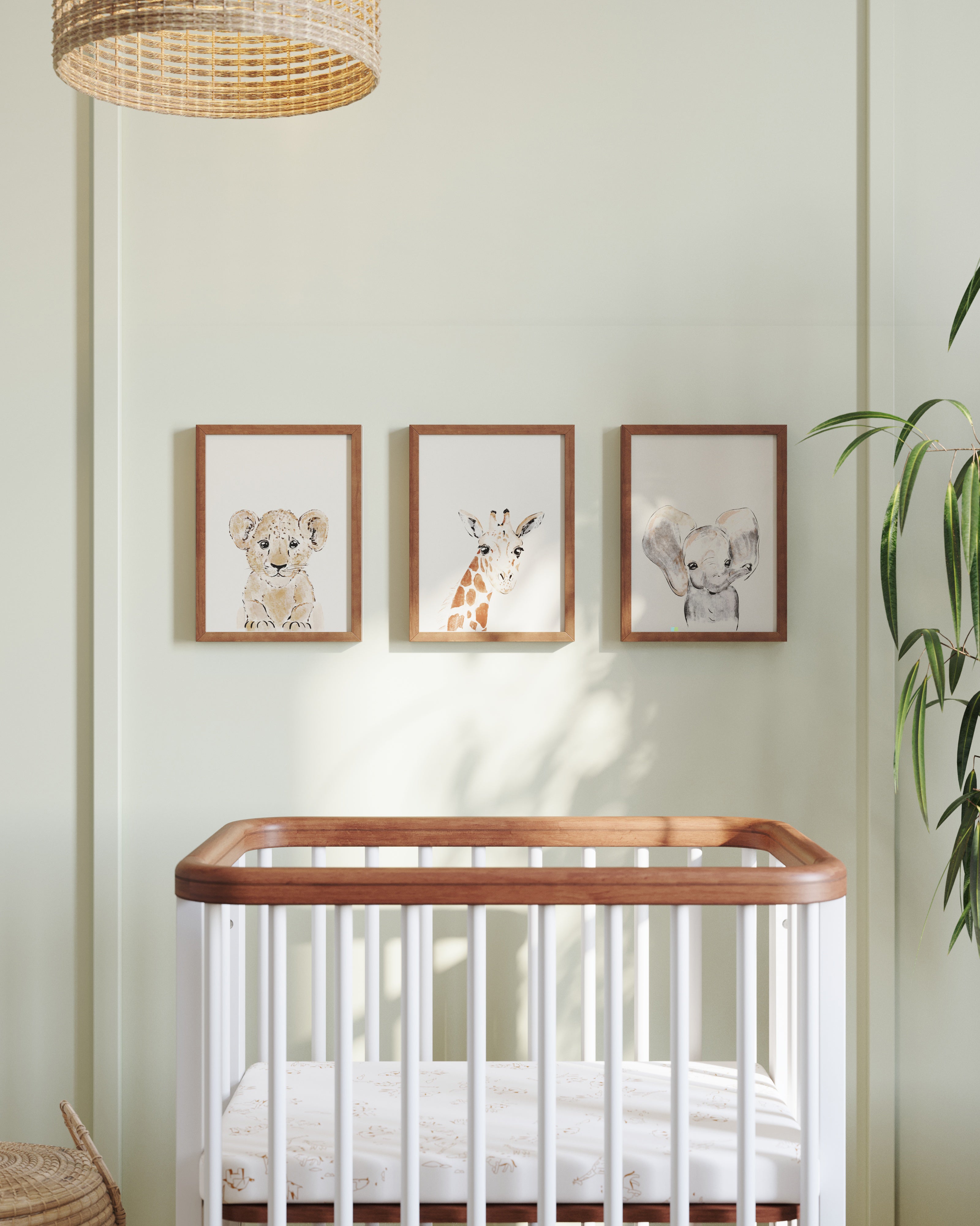 Safari Animals Framed Wall Art Set