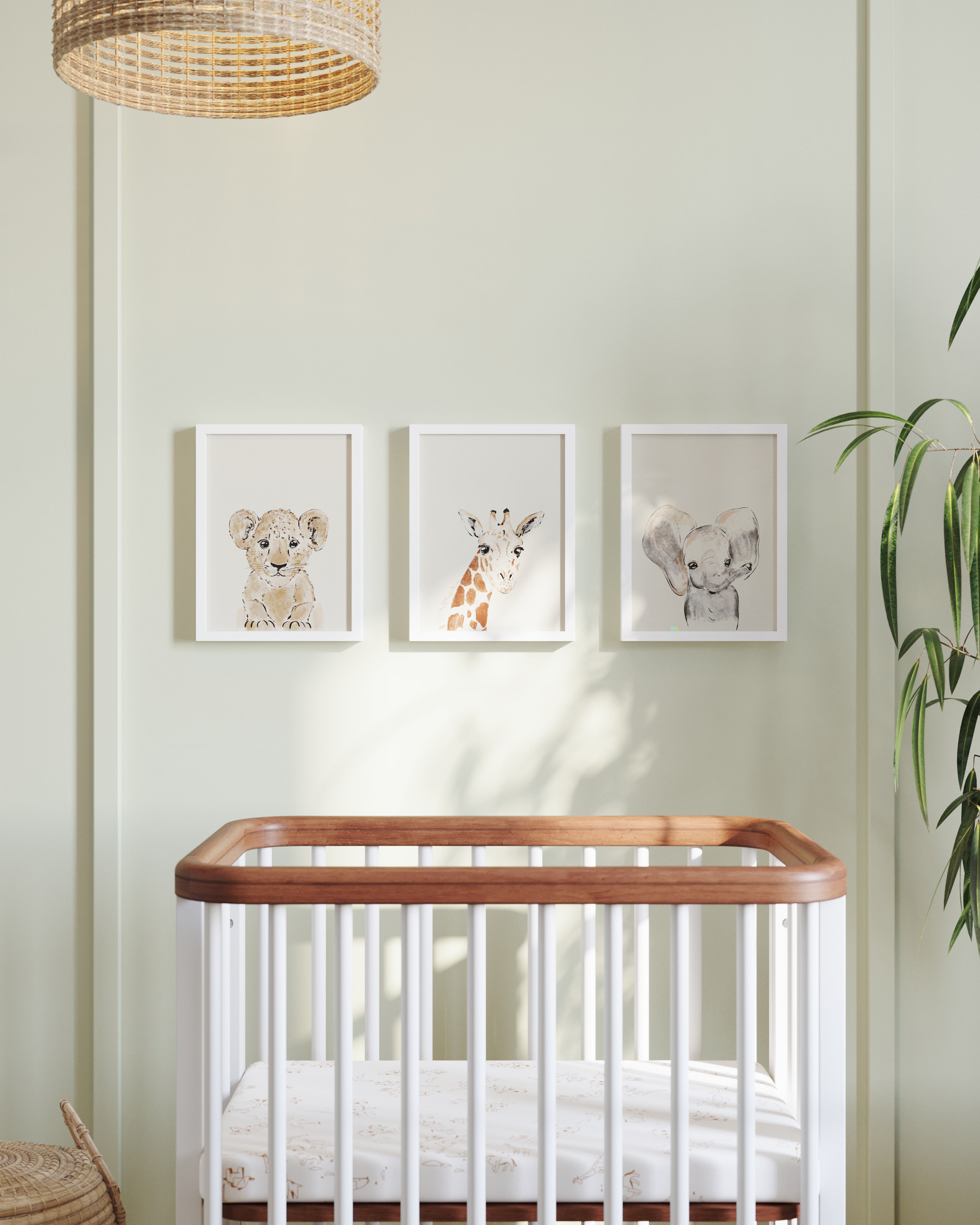 Safari Animals Framed Wall Art Set