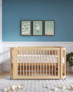 Several Swans Framed Wall Art Set in Mist