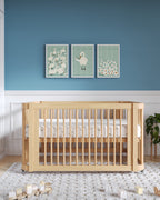 Several Swans Framed Wall Art Set in Mist