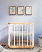 Sicily Framed Wall Art Set