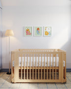 Spring Framed Wall Art Set