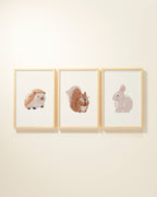 Woodland Animals Framed Wall Art Set