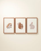 Woodland Animals Framed Wall Art Set