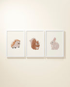 Woodland Animals Framed Wall Art Set